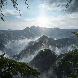 爱就像山林边境