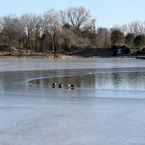 茶乡白大褂 守护千万家