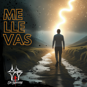 Me Llevas