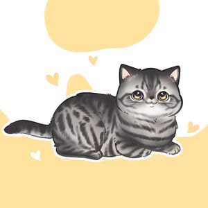 夜空中最亮的星