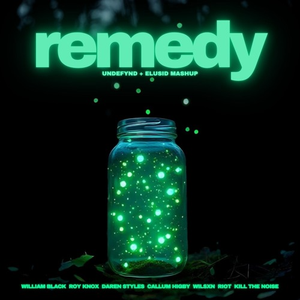 William Black, ROY KNOX, Daren Styles, Callum Higby, Wilsxn, RIOT, Kill The Noise - Remedy (UNDEFYND + ELUSID Mashup)