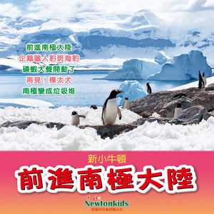 企鹅猎人豹斑海豹