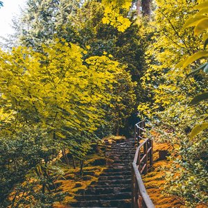 AUTUMN DAYS