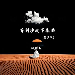 等到沙漠下暴雨（男声版）