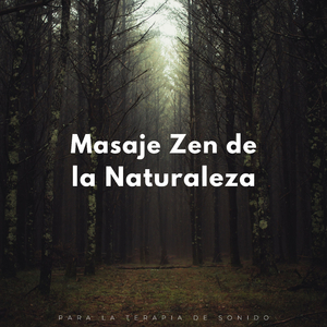 Efecto De Ondulación