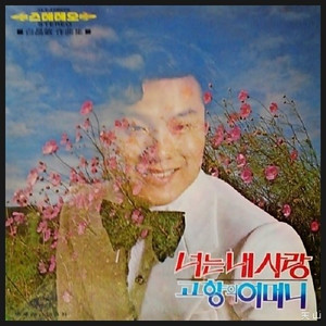 고향의 어머니
