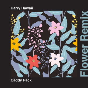 Flower (Harry Hawaii Remix)