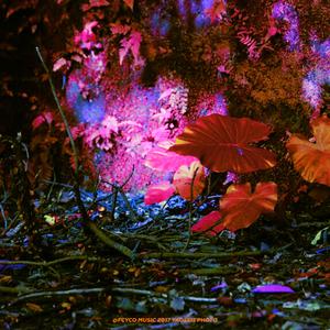 我 是 你 的 骄 傲