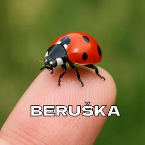 BERUŠKA