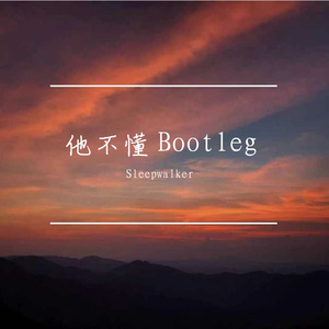拌个菠萝-他不懂（Sleepwalker / 关一口 remix）