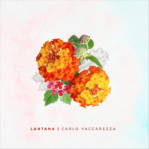 Lantana