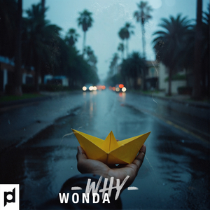 Wonda Why