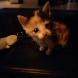 na好吧，我错了