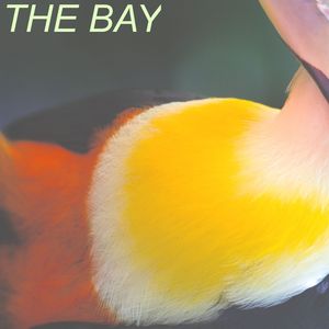 The Bay Rework