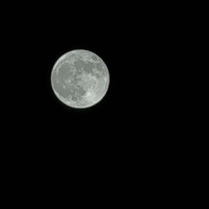 canzoni preferite（黑帮摇-小提琴醇享）