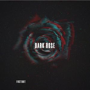 DARK ROSE