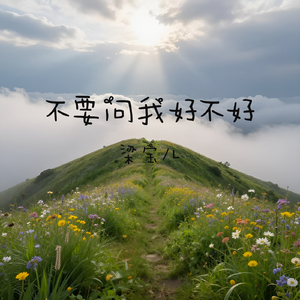 不要问我好不好