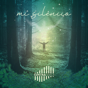 Mi Silencio