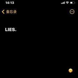 谎言（Prod By Ljx Ghost）
