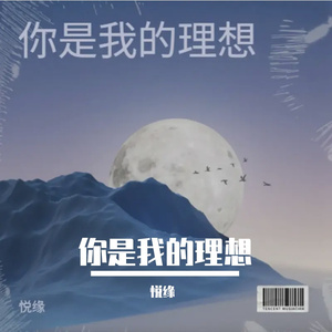 你是我的理想
