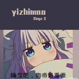 陪小熊看月光