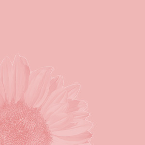 Jorito (instrumental)