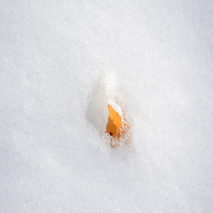 가갸거겨울 (가을과 겨울 사이)