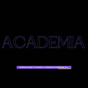Academia