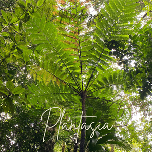 Plantasia