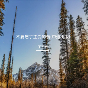 不要忘了主受的苦(电子琴dj)