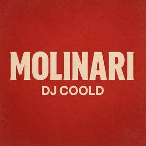 MOLINARI (Radio Edit)