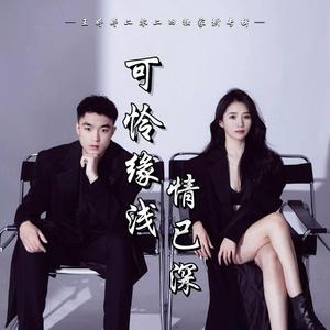 可怜缘浅情已深（DJ版）