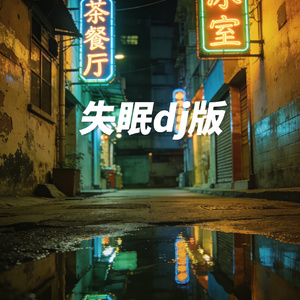 失眠DJ版
