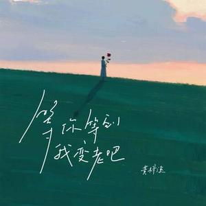 等你等到我变老吧 (DJ小左版)0.8x升调版