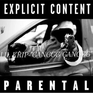 GANGGG GANGGG