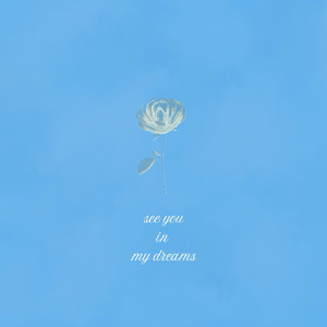 see you in my dreams