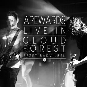 My Heart a Void Forever (Live)