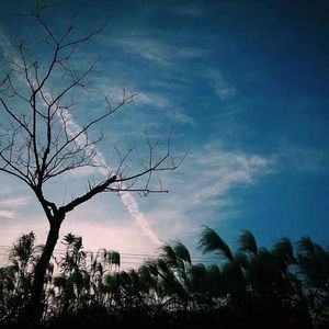 melancholy（钢琴版）