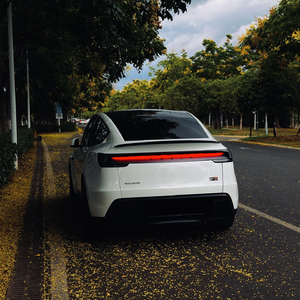 比初雪先来的是你