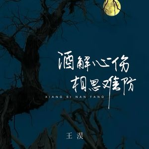 酒解心伤相思难防