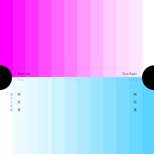 关于翻译家与提琴手的那部电影