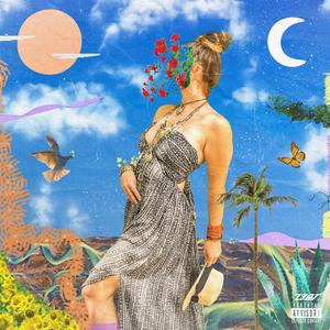 sunset (feat. Salchii Baby & DJ Horse)