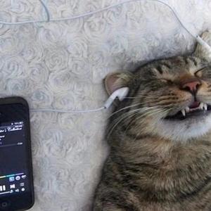 伤心的精神小伙（Ft.河南神）