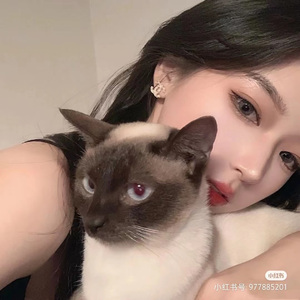 牛奶面包