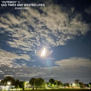 LYINCHEATINTWOTIMINWHORE (Radio Edit)