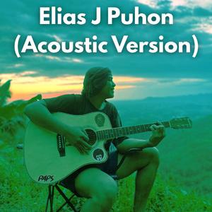 Elias J Puhon (Acoustic Version)