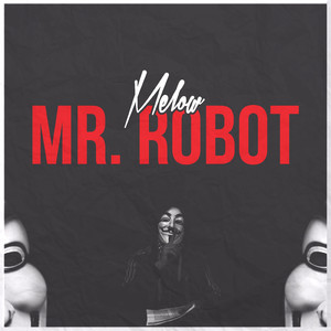 Mr. Robot