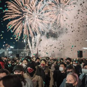 我想做你的空气凤梨