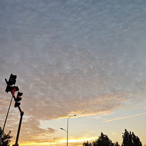 孤独尽头遇真爱