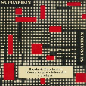 Concerto in B-Flat Major: I. Allegro moderato